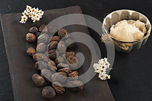 Shea butter and shea nuts