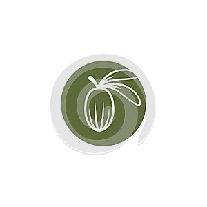 Shea nut green icon. vitellaria beauty and cosmetics oil. Cosmetic ingredient carotene, carotin photo