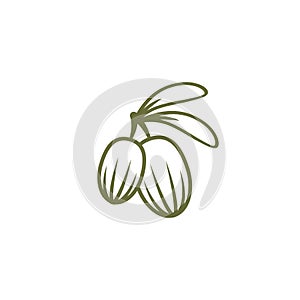 Shea nut green icon. vitellaria beauty and cosmetics oil photo