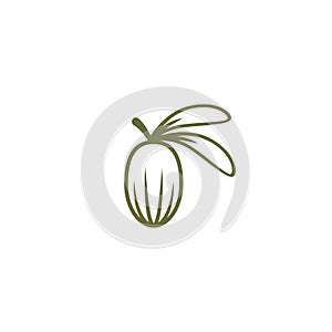 Shea nut green icon. vitellaria beauty and cosmetics oil photo