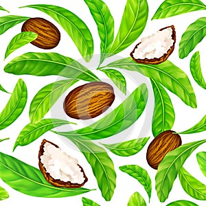 Shea nuts with leaves in vector pattern.