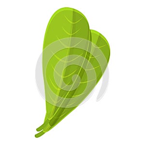 Shea tree leaf icon, cartoon style