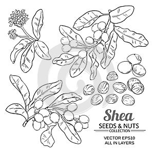 Shea vector set