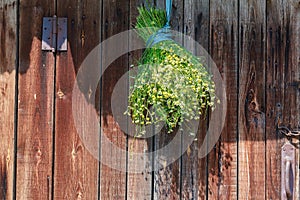 Sheaf chamomile dried in the shade.