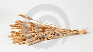 A Sheaf of Golden Wheat.AI generated image