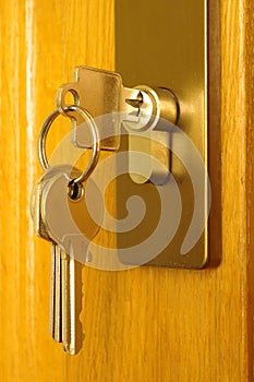 The sheaf of keys is inserted into a keyhole