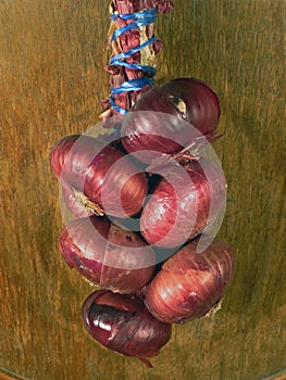 The sheaf of red onions photo