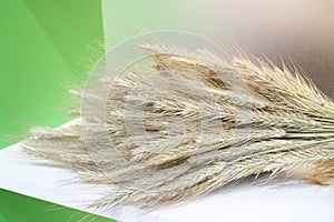 Sheaf of sloping wheat