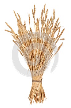 Sheaf of wheat