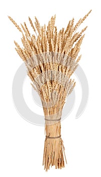 Sheaf of wheat