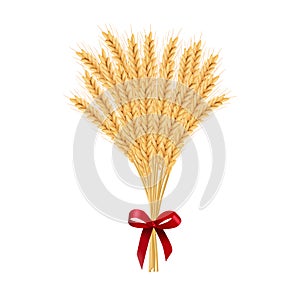 Sheaf of wheat. Reap of spiked grain heads. Christmas sheaf. Bunch of crop ears. Spikes, Julkarve, Julenek,