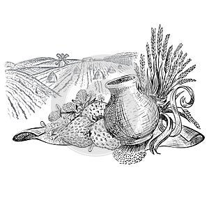 Sheaf of wheat, strawbery and jar of milk on field background. Vector illustration in sketch style isolated on white background