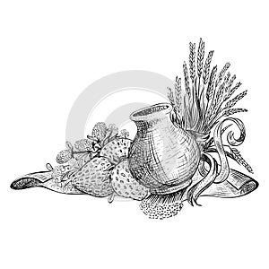 Sheaf of wheat, strawbery and jar of milk on white background. Vector illustration in sketch style isolated on white background