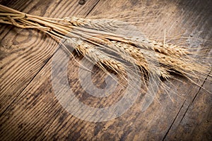 Sheaf of wheat on wooden background