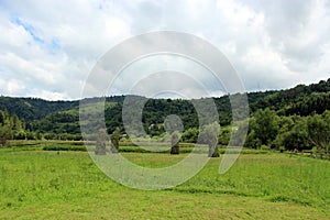 Sheafs of hay standing in Carpathian mountains