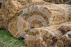 Sheafs of straw on the summer grass