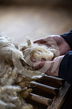 Sheared lamb wool on a table