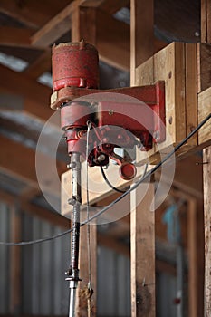 Shearing machine in a sheep shearing shed