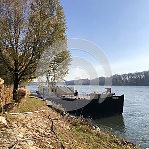 Sheaves of grass on the background of the Danube in Slovakia in Bratislava