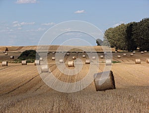 Sheaves of hay