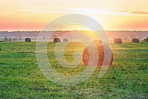 Sheaves of hay in the light of the setting sun in warm summer evening in the countryside