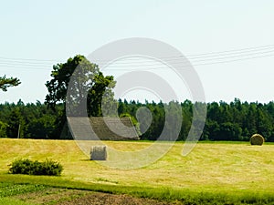 Sheaves of hay on meadow