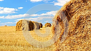 Sheaves of hay