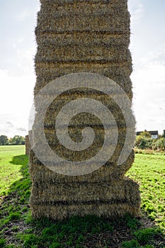 Sheaves of hay stacked into wall on the field in england uk on a sunny day