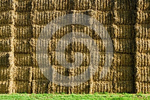 Sheaves of hay stacked into wall on the field in england uk on a sunny day