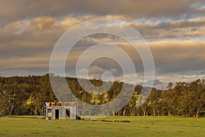 Shed photo