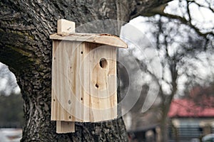 Shed for birds on trees. Wooden birdhouse on the tree