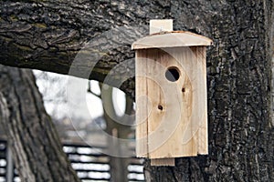 Shed for birds on trees. Wooden birdhouse on the tree