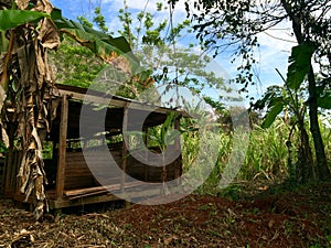 Shed at the countyside of Cuba photo