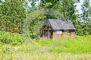 Shed on edge of woods