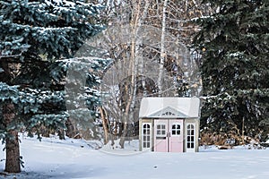 A shed with rose colored doors