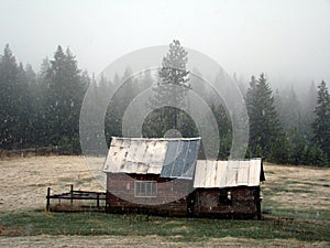 Shed in Winter