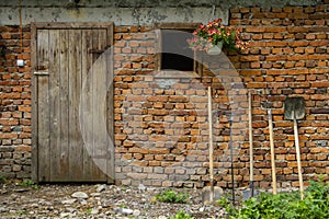 Shed with wooden door and windows