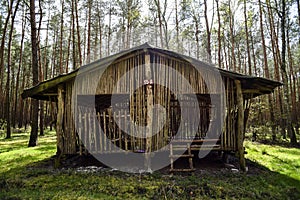 A shed in the woods. A shed in the woods