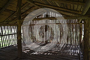 A shed in the woods. A shed in the woods