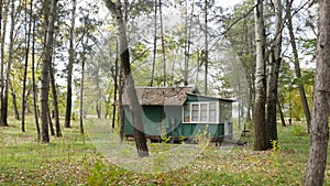 Shed in a woods. Small green house in a forest planting against a background of green grass and trees