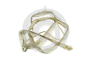 Shedding snake skin on white background