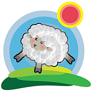 Sheep