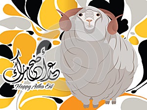 Sheep of adha eid