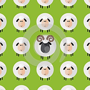 Sheep With Aries Pattern