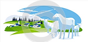 sheep on the background of a green village. Agriculture, ranch, cattle farm concept.