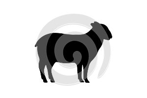 Sheep black silhouette. Sheep symbol. Ram silhouette. Farm animal icon isolated on white background.