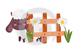 Sheep bovine fence flowers farm animal cartoon