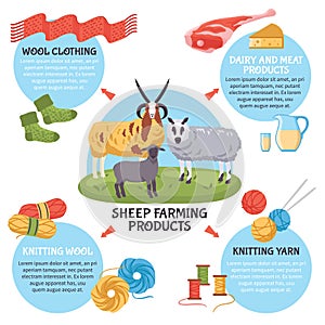 Sheep Breeding Infographics
