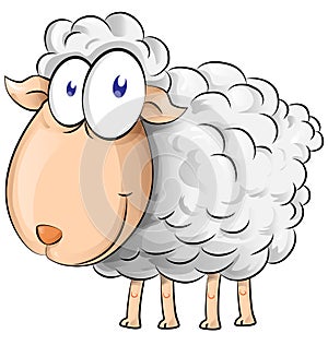 Sheep cartoon