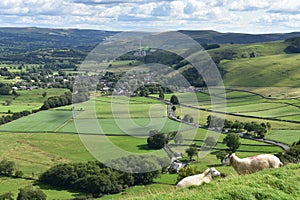 Sheep with Castleton behind